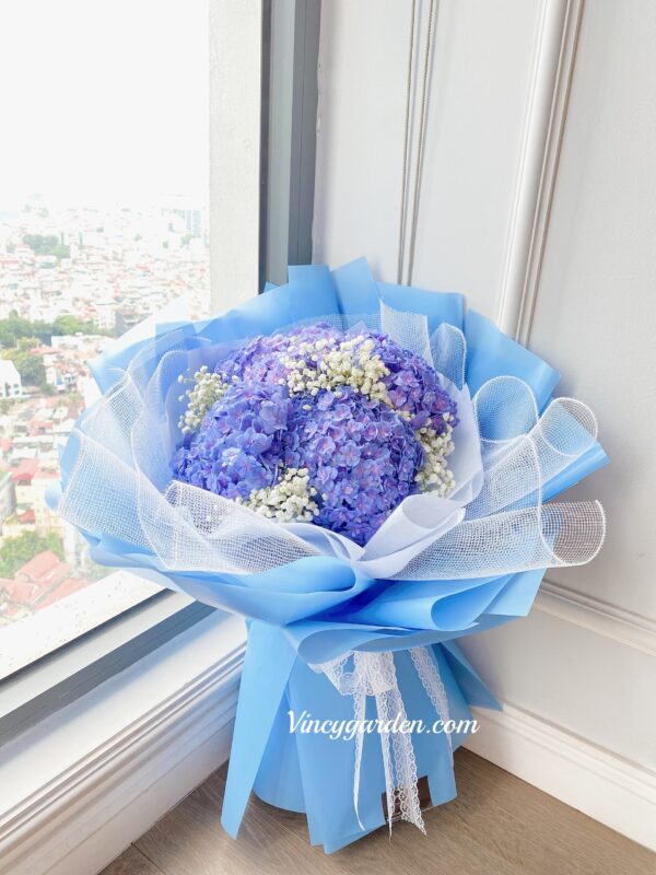 Bó hoa cẩm tú cầu nhập khẩu màu xanh Vincy Garden