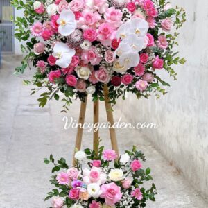 Cây hoa khai trương màu hồng rực rỡ_HKT19