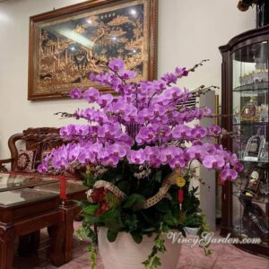 Chậu lan hồ điệp Đà Lạt tím 40 cành đẳng cấp_LĐH33