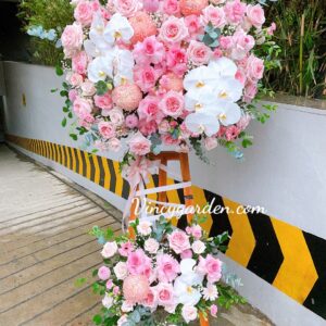 Cây hoa khai trương VIP, hoa chúc mừng đẳng cấp tại Hà Nội-HKT17