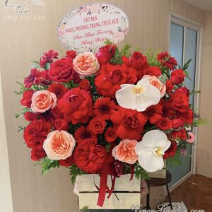 Lẵng hoa chúc mừng màu đỏ may mắn _LH28