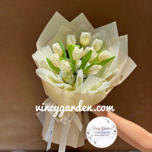 Bó hoa tulip hà lan xinh đẹp_TL1