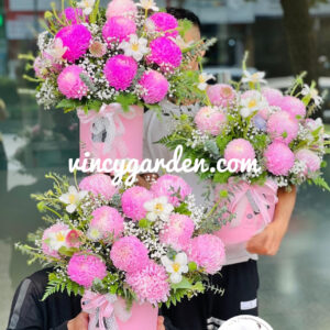 Hộp hoa cúc mẫu đơn hà lan màu hồng xinh đẹp tại Hà Nội_HHH2