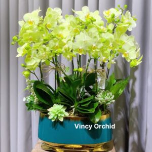 Bình hoa lan hồ điệp xanh mini siêu xinh-LHĐ57