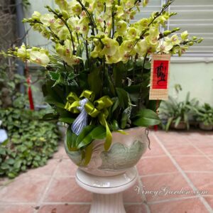 Chậu 30 cành hồ điệp màu xanh_LHD10