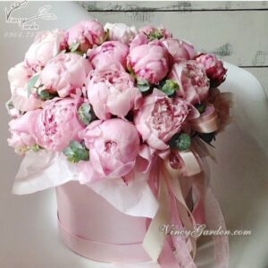 Hộp hoa mẫu đơn 20 bông cao cấp sang trọng_HH04