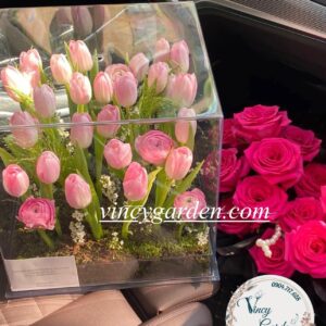 Hộp hoa tulip hồng xinh xắn tặng bạn gái đẹp tại Hà Nội_VC5