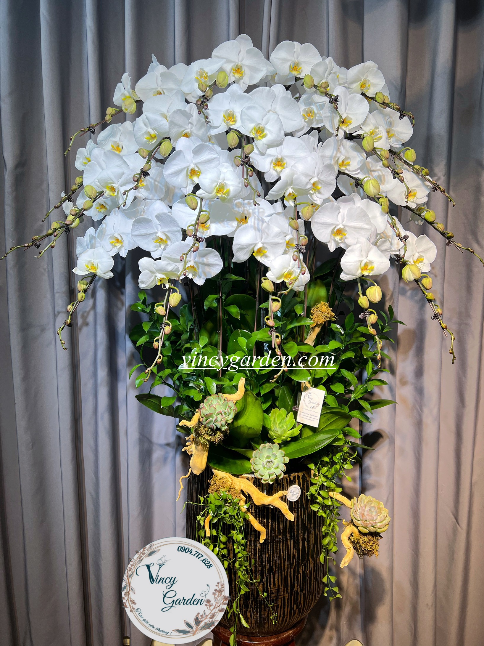 Chậu hoa lan hồ điệp trắng sang trọng giao phường Giảng Võ Hà Nội_HDGV1